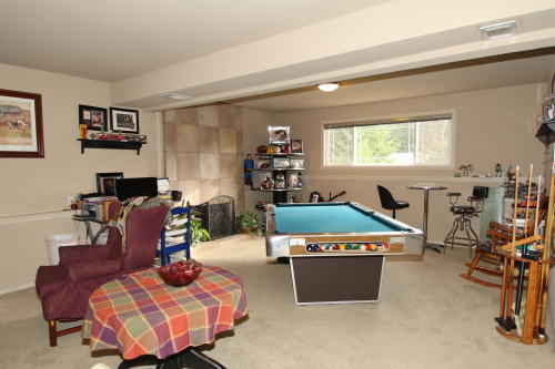 Lower level fireplace